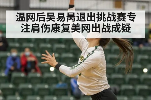 温网后吴易昺退出挑战赛专注肩伤康复美网出战成疑
