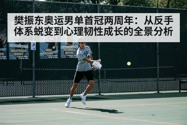 樊振东奥运男单首冠两周年:从反手体系蜕变到心理韧性成长的全景分析